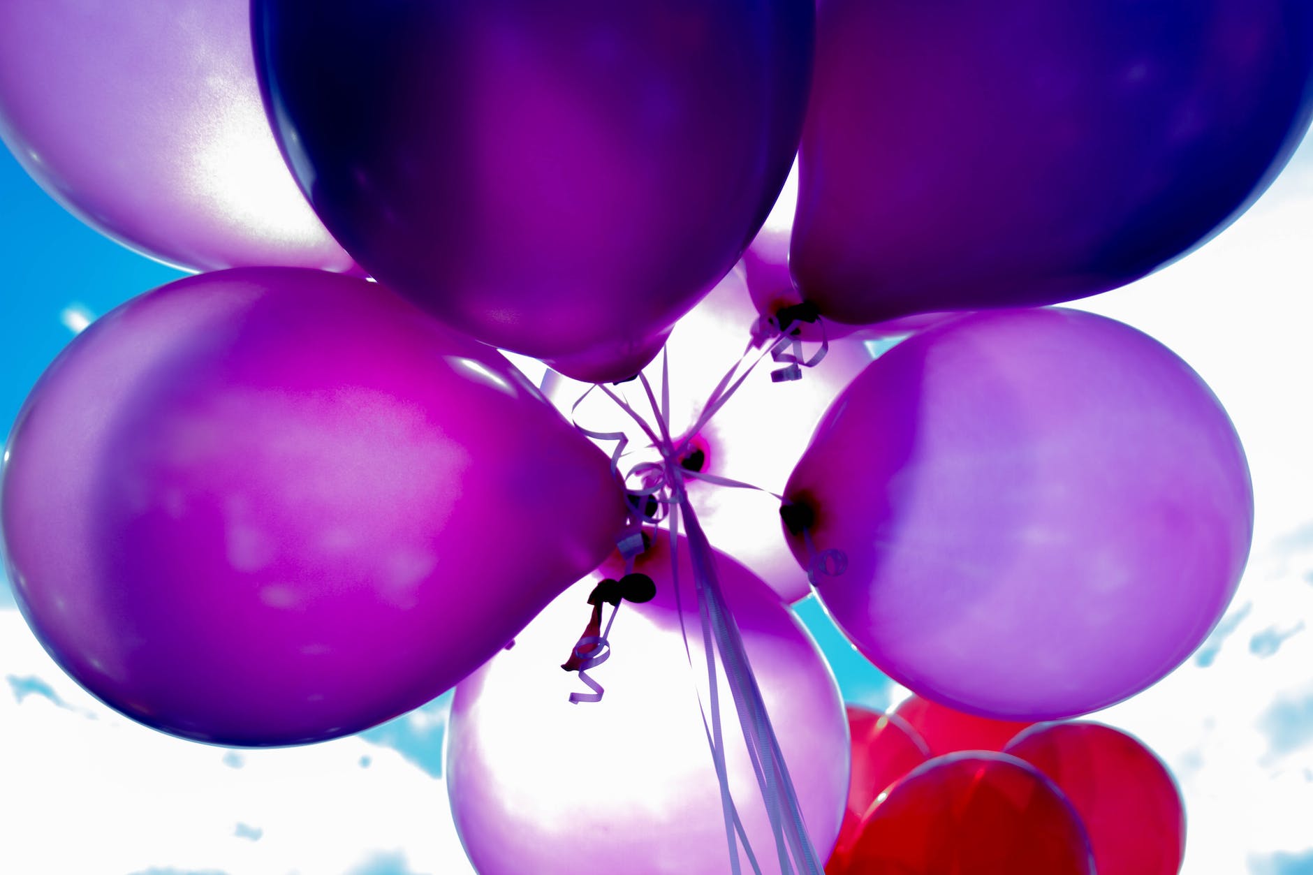 low angle shot of purple and violet balloons