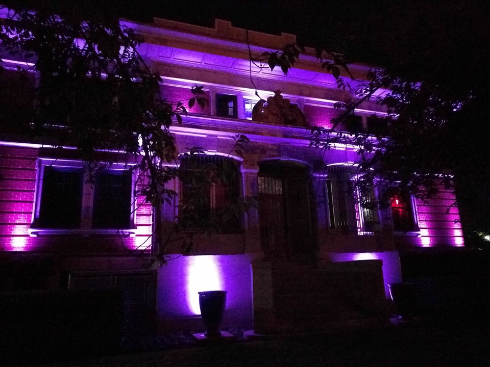 Light Canada Purple